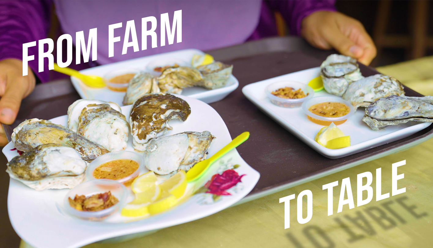 Home Pak Su Oyster Farm